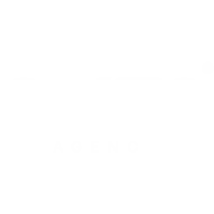 logo pawa